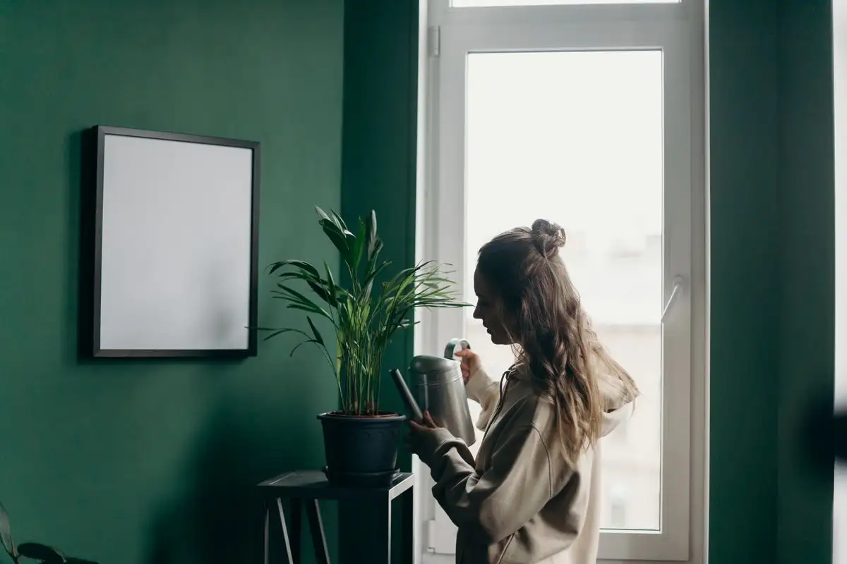 Tre uker i karantene kan redde resten av plantene dine